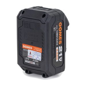Pin 10 cell 4.0Ah GOMES C2M21A4C5